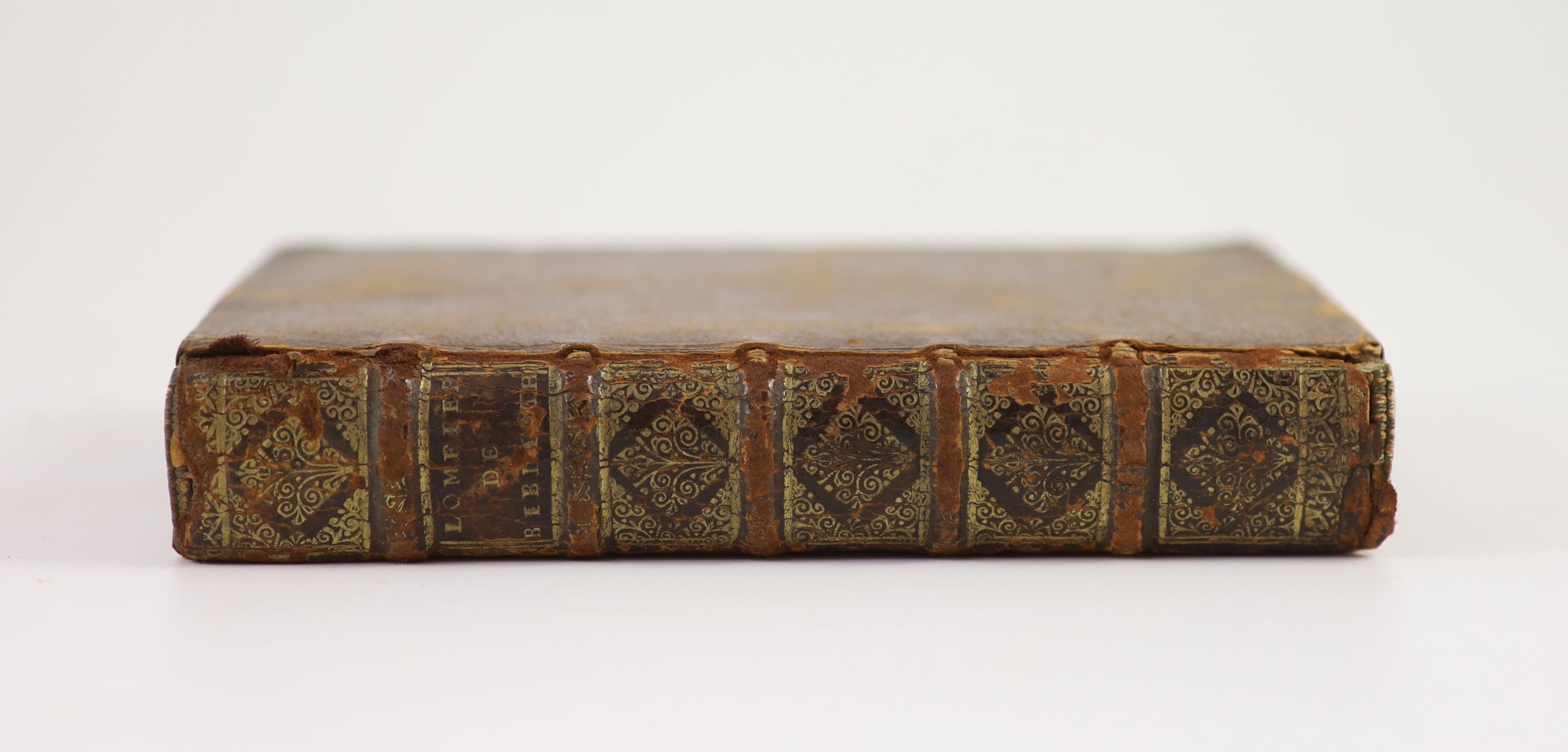 Lomeier, Johann. De Bibliothecis ... editio secunda ...